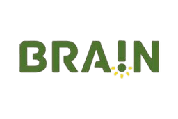 Brain
